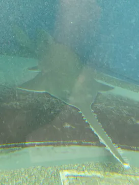 マクセル アクアパーク品川に投稿された画像（2026/3/29）