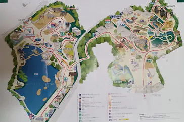 恩賜上野動物園に投稿された画像（2026/3/29）