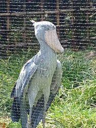 恩賜上野動物園に投稿された画像（2026/3/29）