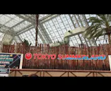 東京サマーランドに投稿された画像（2026/3/29）