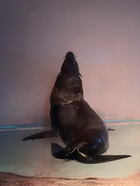 マクセル アクアパーク品川に投稿された画像（2026/3/29）