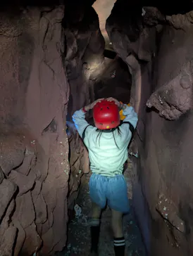 那須ハイランドパークに投稿された画像（2026/3/29）