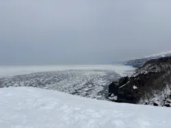 知床ネイチャーガイド星の時間に投稿された画像（2026/3/29）