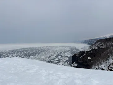 知床ネイチャーガイド星の時間に投稿された画像（2026/3/29）