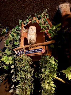 AQUARIUM × ART　atoa×神戸どうぶつ王国に投稿された画像（2026/3/29）