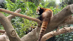 AQUARIUM × ART　atoa×神戸どうぶつ王国に投稿された画像（2026/3/29）