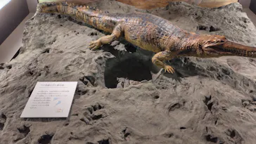 滋賀県立琵琶湖博物館に投稿された画像（2026/3/29）