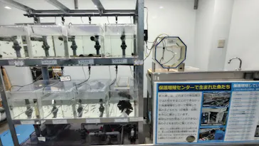 滋賀県立琵琶湖博物館に投稿された画像（2026/3/29）