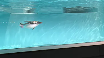 AOAO SAPPOROに投稿された画像（2026/3/29）