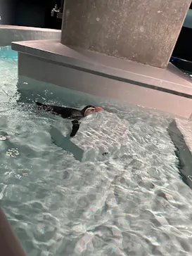 AOAO SAPPOROに投稿された画像（2026/3/29）