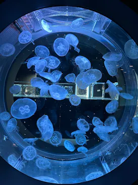 AOAO SAPPOROに投稿された画像（2026/3/29）