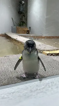 AOAO SAPPOROに投稿された画像（2026/3/29）