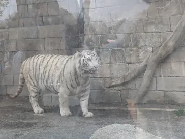 東武動物公園に投稿された画像（2026/3/29）