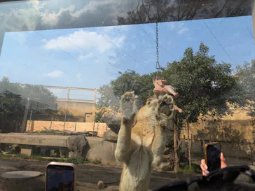 東武動物公園に投稿された画像（2026/3/29）