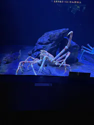 サンシャイン水族館に投稿された画像（2026/3/29）