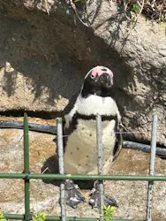 サンシャイン水族館に投稿された画像（2026/3/29）
