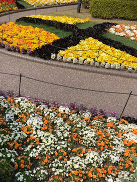 安城産業文化公園デンパークに投稿された画像（2026/3/29）