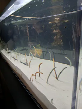 京都水族館に投稿された画像（2026/3/29）