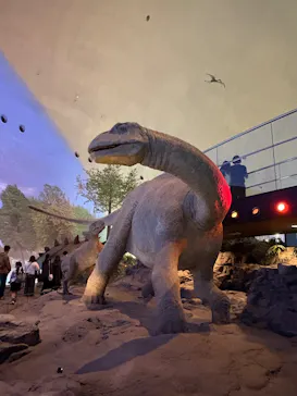 福井県立恐竜博物館に投稿された画像（2026/3/29）