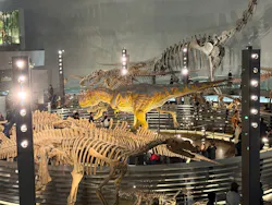 福井県立恐竜博物館に投稿された画像（2026/3/29）