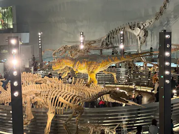 福井県立恐竜博物館に投稿された画像（2026/3/29）