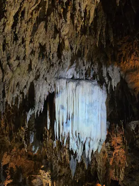 CAVE OKINAWAに投稿された画像（2026/3/29）