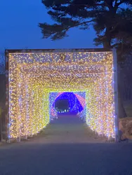 KYOTO ILLUMINATION SYNESTHESIA HILLS るり渓温泉に投稿された画像（2026/3/29）