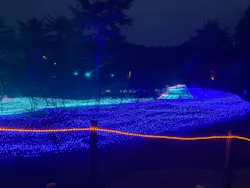 KYOTO ILLUMINATION SYNESTHESIA HILLS るり渓温泉に投稿された画像（2026/3/29）