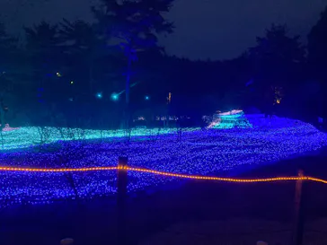 KYOTO ILLUMINATION SYNESTHESIA HILLS るり渓温泉に投稿された画像（2026/3/29）
