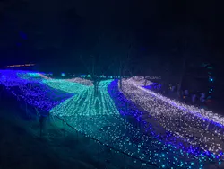 KYOTO ILLUMINATION SYNESTHESIA HILLS るり渓温泉に投稿された画像（2026/3/29）