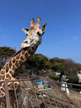 伊豆シャボテン動物公園に投稿された画像（2026/3/29）