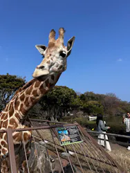 伊豆シャボテン動物公園に投稿された画像（2026/3/29）