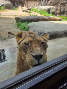 天王寺動物園に投稿された画像（2026/3/29）