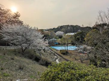 こども動物自然公園（埼玉県公園緑地協会）に投稿された画像（2026/3/29）