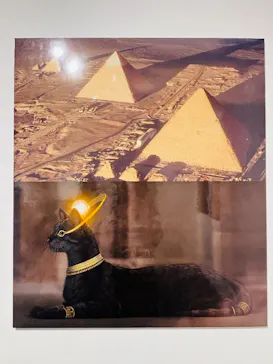 IMMERSIVE JOURNEY 名古屋に投稿された画像（2026/3/29）