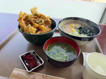 アクアワールド茨城県大洗水族館に投稿された画像（2026/3/29）