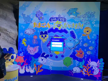 新江ノ島水族館に投稿された画像（2026/3/29）