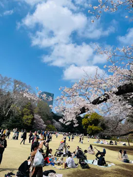 新宿御苑に投稿された画像（2026/3/29）