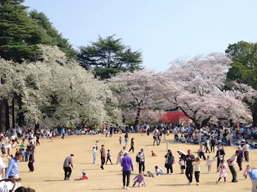 新宿御苑に投稿された画像（2026/3/29）