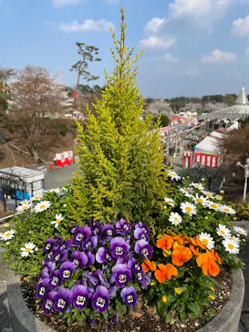 西武園ゆうえんちに投稿された画像（2026/3/29）