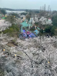 西武園ゆうえんちに投稿された画像（2026/3/29）