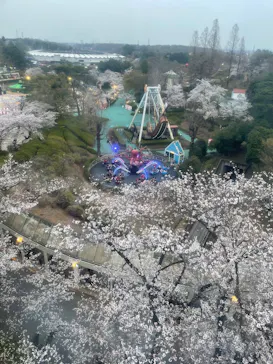 西武園ゆうえんちに投稿された画像（2026/3/29）