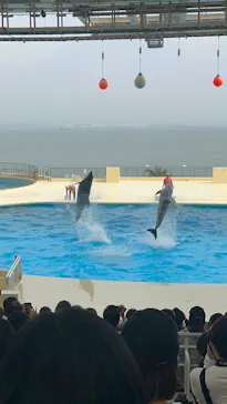 マリンワールド海の中道に投稿された画像（2026/3/29）