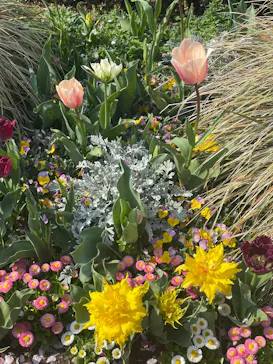 新宿御苑に投稿された画像（2026/3/29）