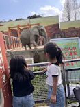 東武動物公園に投稿された画像（2026/3/30）