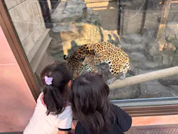 東武動物公園に投稿された画像（2026/3/29）