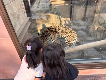 東武動物公園に投稿された画像（2026/3/29）