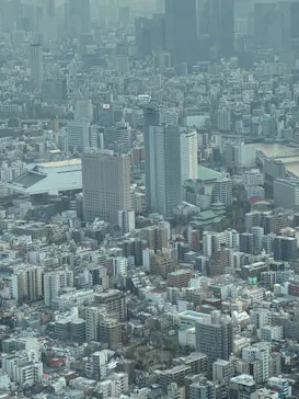 東京スカイツリーに投稿された画像（2026/3/29）