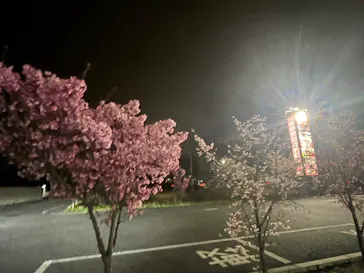 熊谷天然温泉　花湯スパリゾートに投稿された画像（2026/3/29）