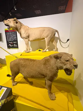 特別展「超危険生物展　科学で挑む生き物の本気」に投稿された画像（2026/3/29）